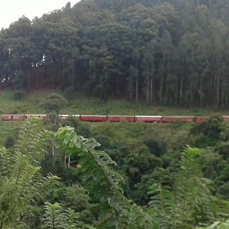 Yoho Nilmini Homestay Ella Bagian luar foto