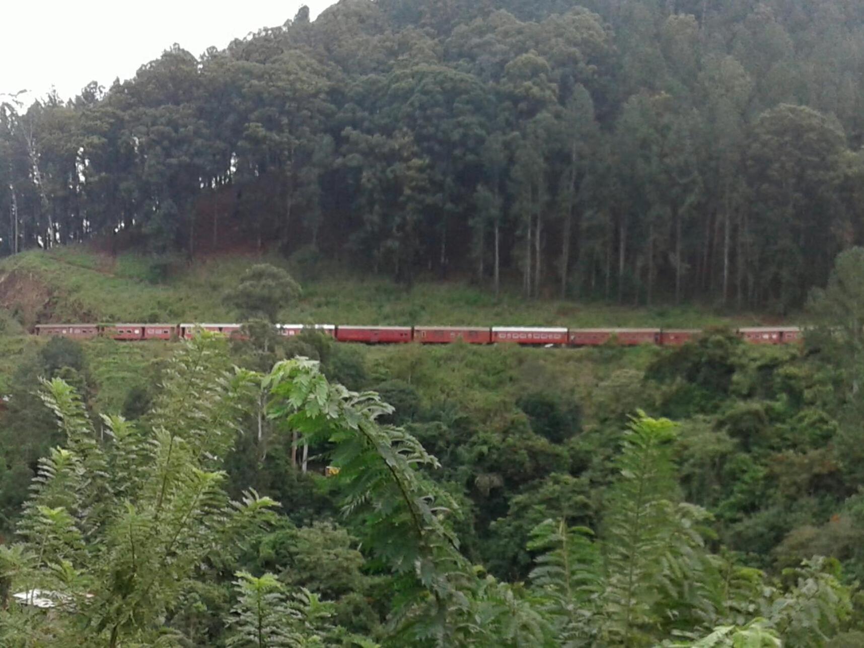 Yoho Nilmini Homestay Ella Bagian luar foto