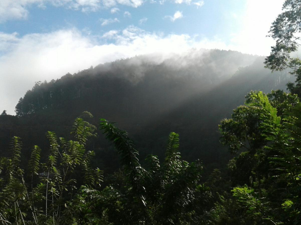 Yoho Nilmini Homestay Ella Bagian luar foto