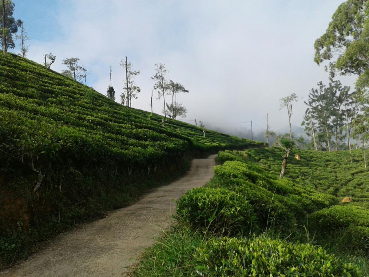 Yoho Nilmini Homestay Ella Bagian luar foto
