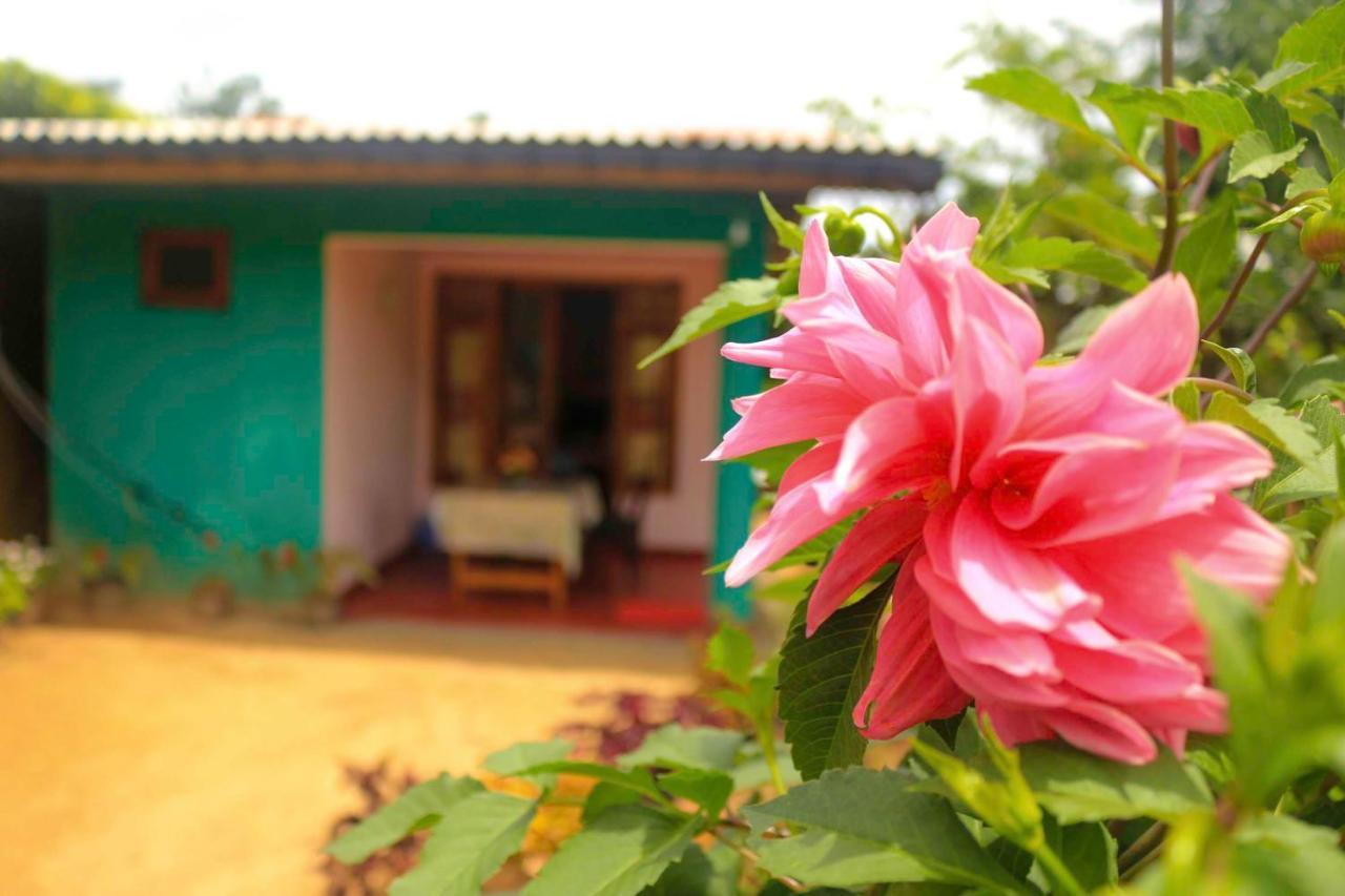 Yoho Nilmini Homestay Ella Bagian luar foto