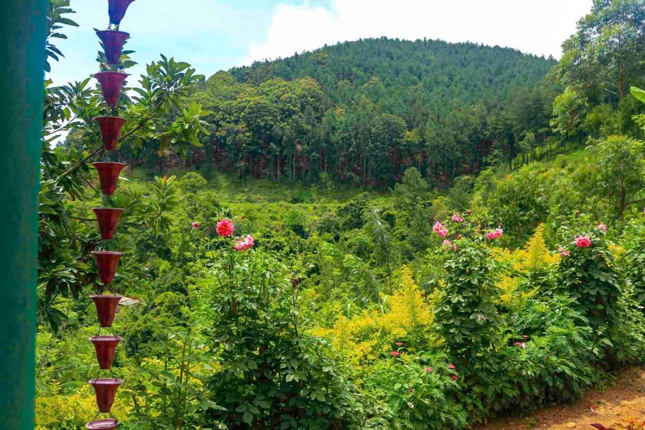 Yoho Nilmini Homestay Ella Bagian luar foto